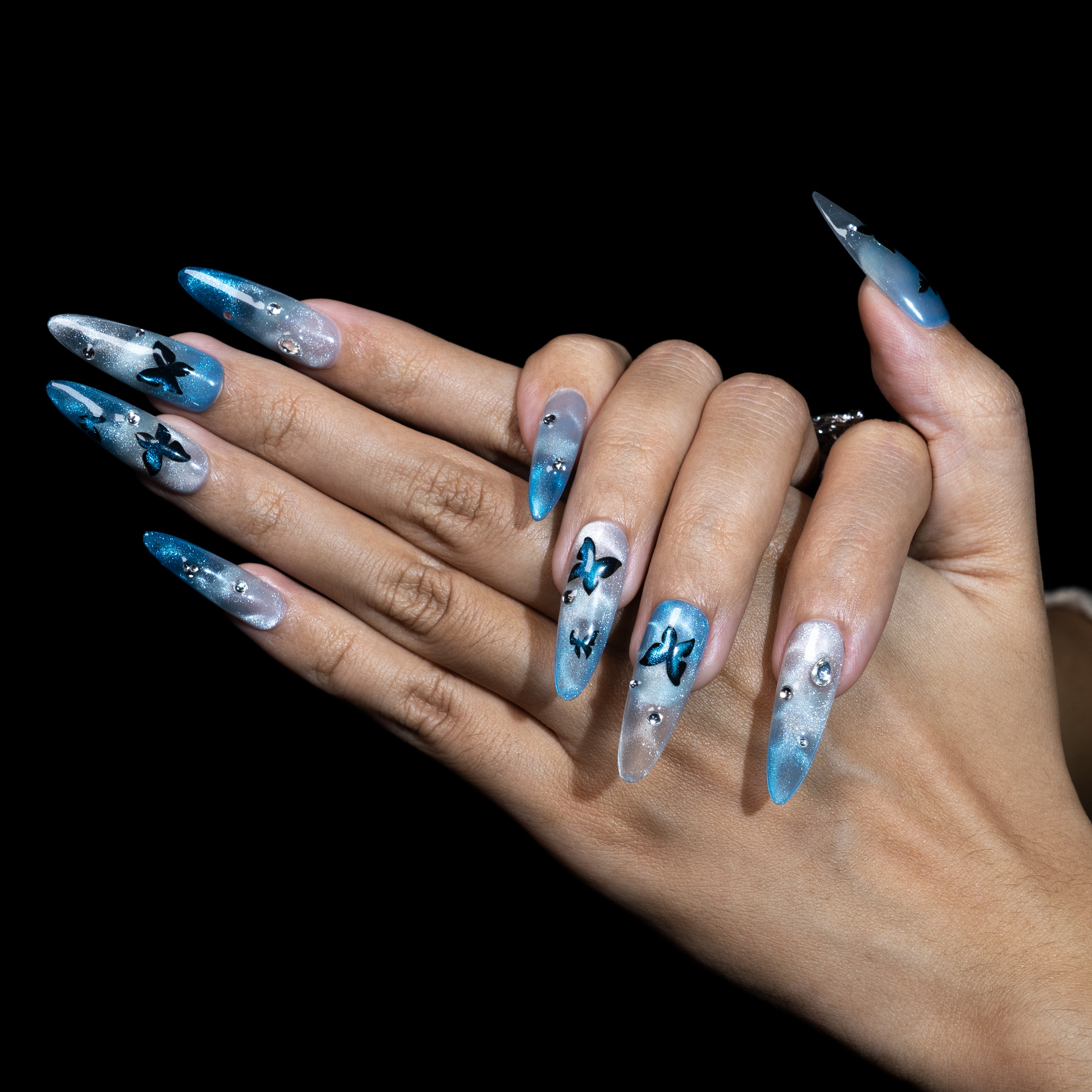 Reflets de Paillions sur le Lac